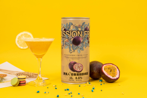 Wholesale Canned Passion fruit Flavor Fruit Beverage Brewed Craft Beer Brand 